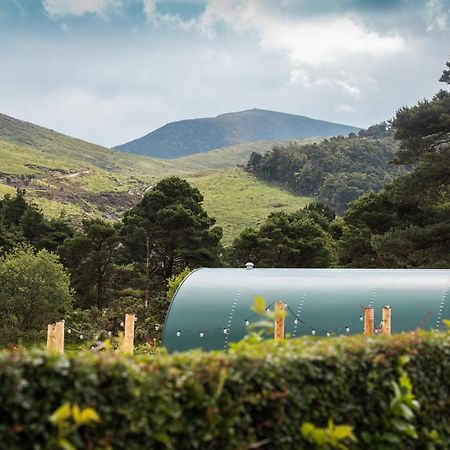 Further Space At Leitrim Lodge Luxury Glamping Pods Mourne Mountains Newcastle  Dış mekan fotoğraf